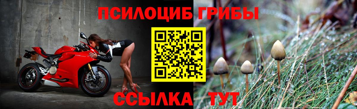 Псилоцибиновые грибы мухоморы  Вход с VPN  закладки  Кимры  Псилоцибиновые грибы ЛСД 
